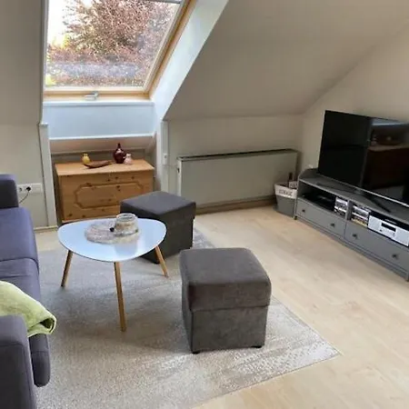 Panoramablick Mit Balkon Braunlage